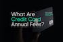 Credit card annual fees explained
